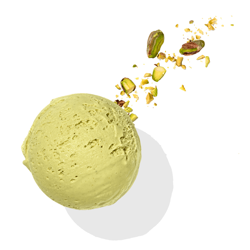 PISTACCHIO 1